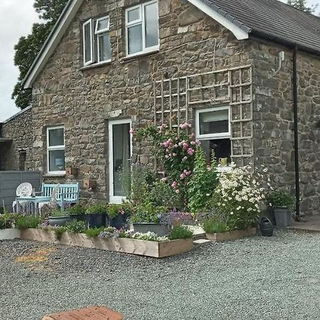 Llanbrynmair Pant Glas Barn מראה חיצוני תמונה