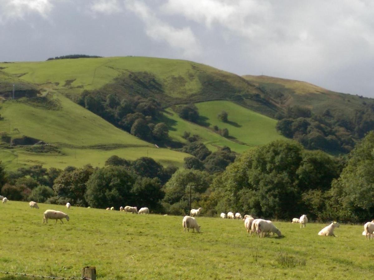 Llanbrynmair Pant Glas Barn מראה חיצוני תמונה