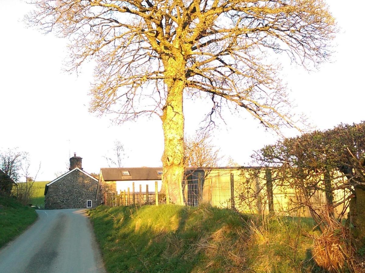Llanbrynmair Pant Glas Barn מראה חיצוני תמונה